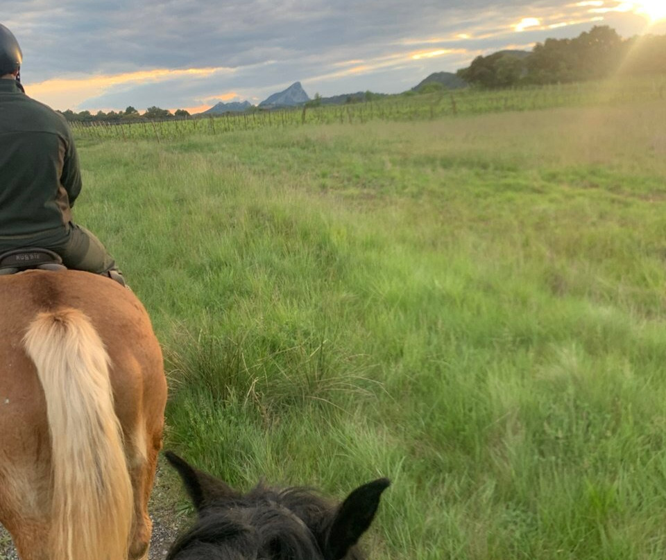 Horse Aventure-Saint-Bauzille-de-Montmel必去景点