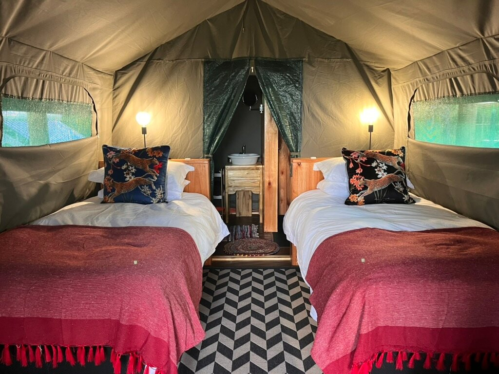 The Termite Mound - Termite Tented
