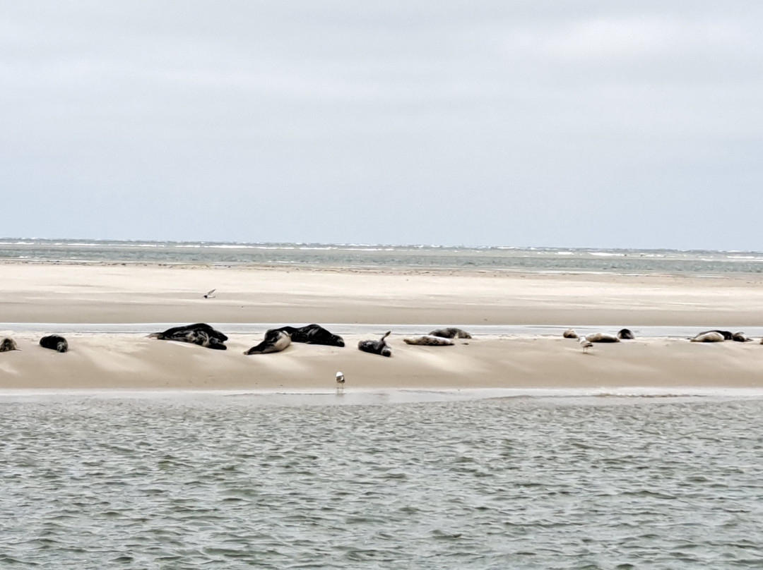 Expeditie Waddenzee-Ballum必去景点