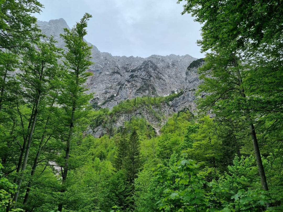 Landscape park Logar Valley-Solcava必去景点
