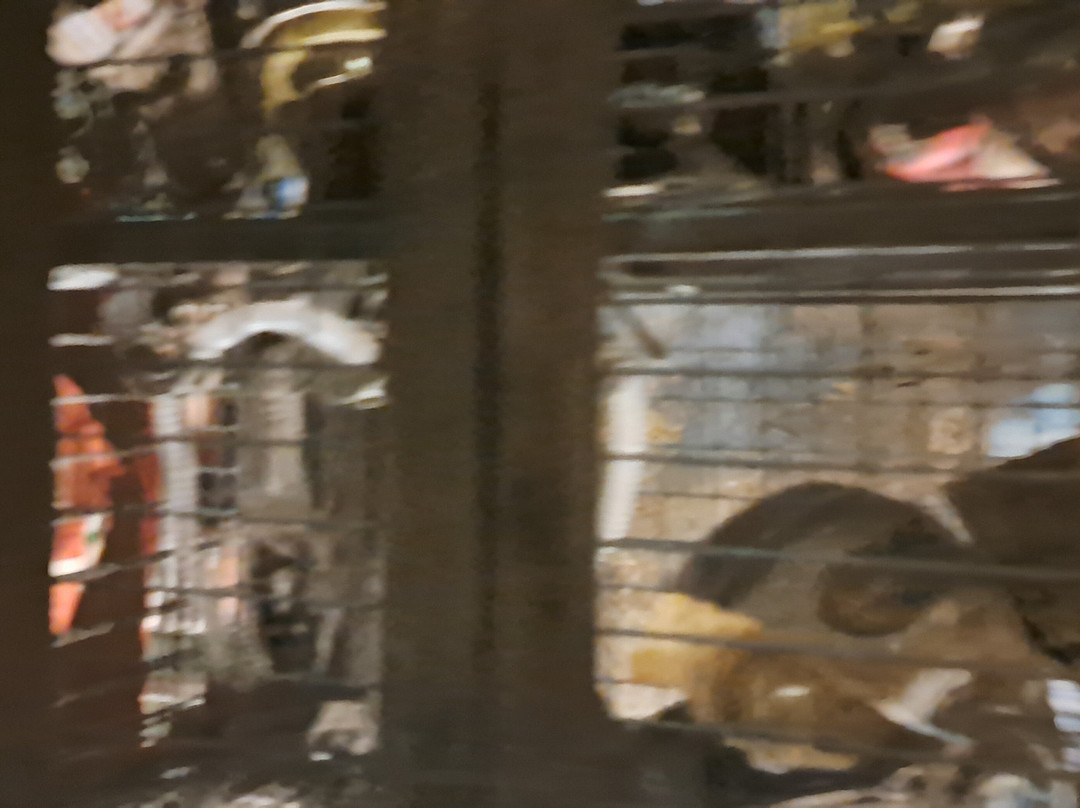 Star Wars Rise of The Resistance-奥兰多必去景点