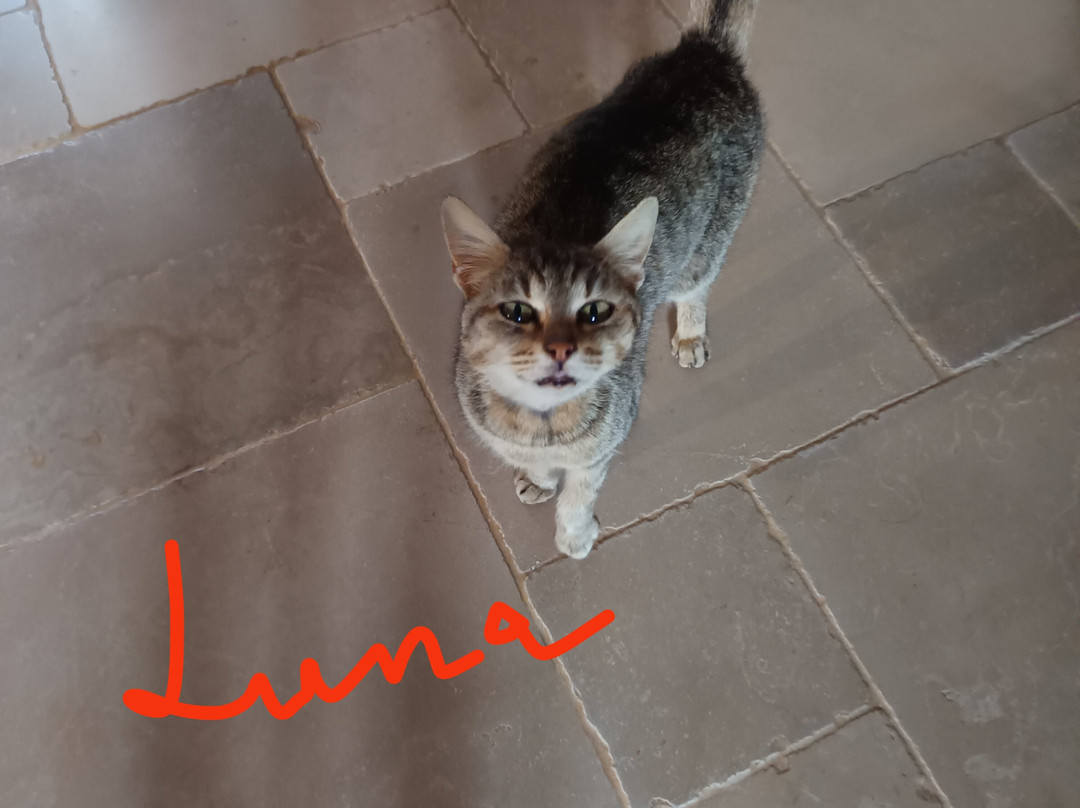 Masseria Donna Nina主图