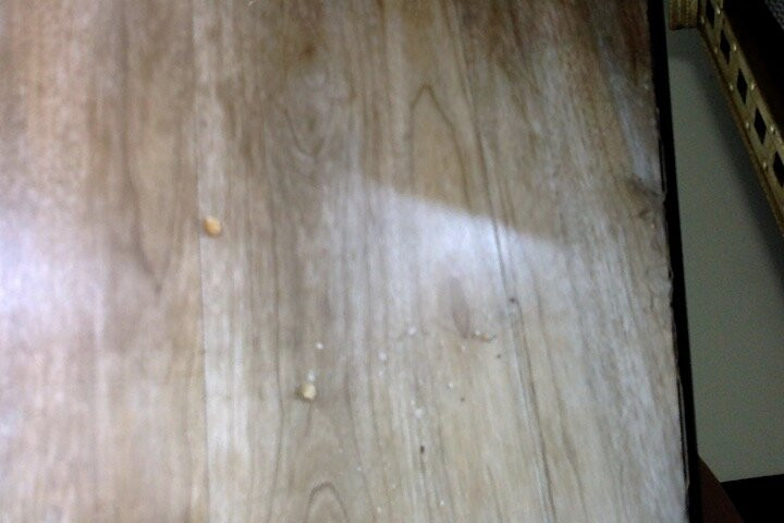 Ruby Gold Coast by CLLIX主图