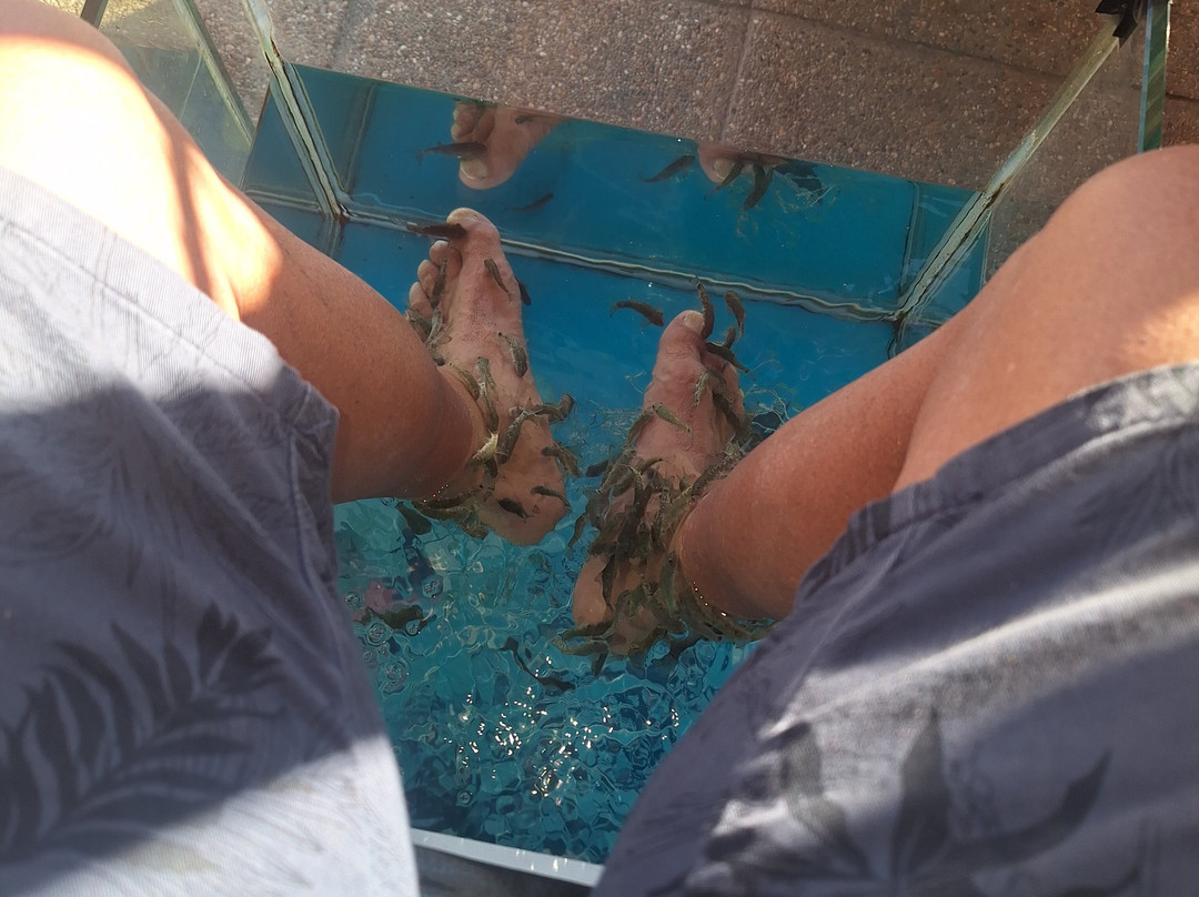 Fish Spa & Wellness-马洛卡岛必去景点