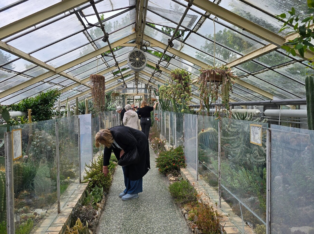 Botanical Garden-布拉迪斯拉发必去景点