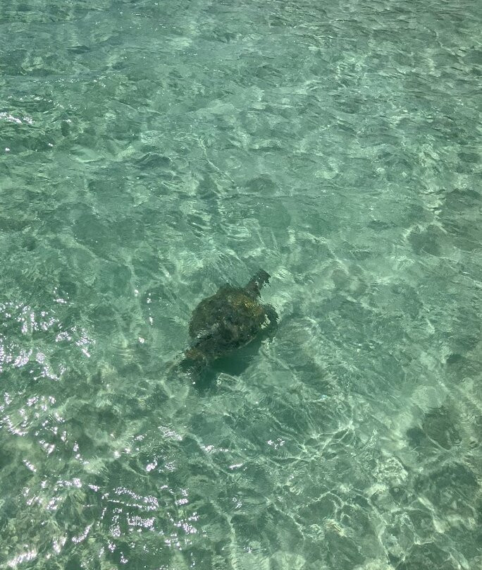 Spanish Wells Fishing-Spanish Wells必去景点