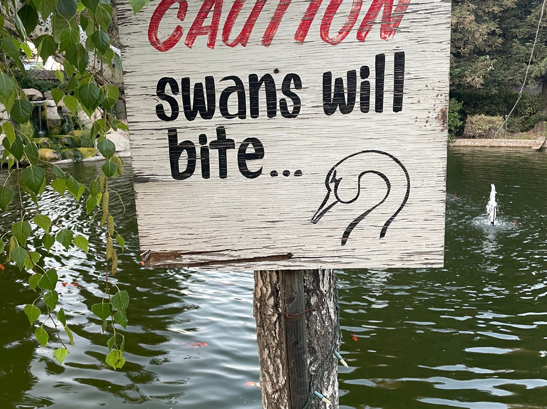 Holiday Inn Selma-Swancourt by IHG主图