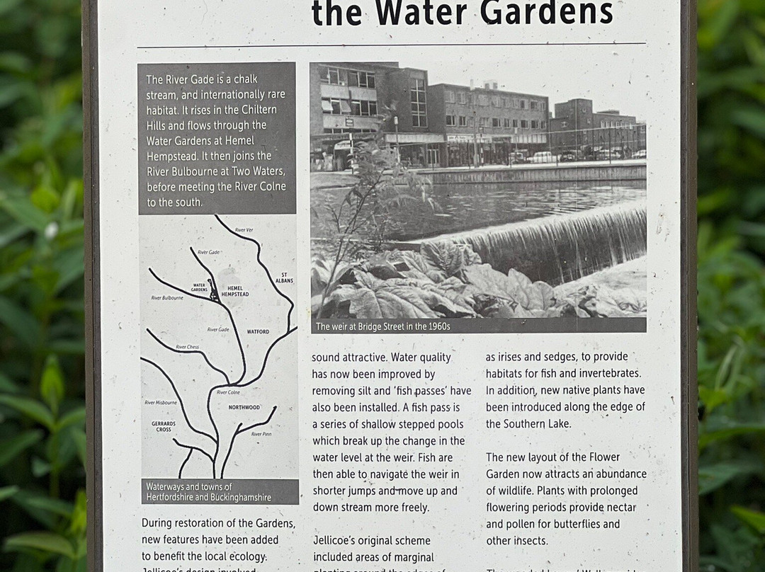 Jellicoe Water Gardens景点图片