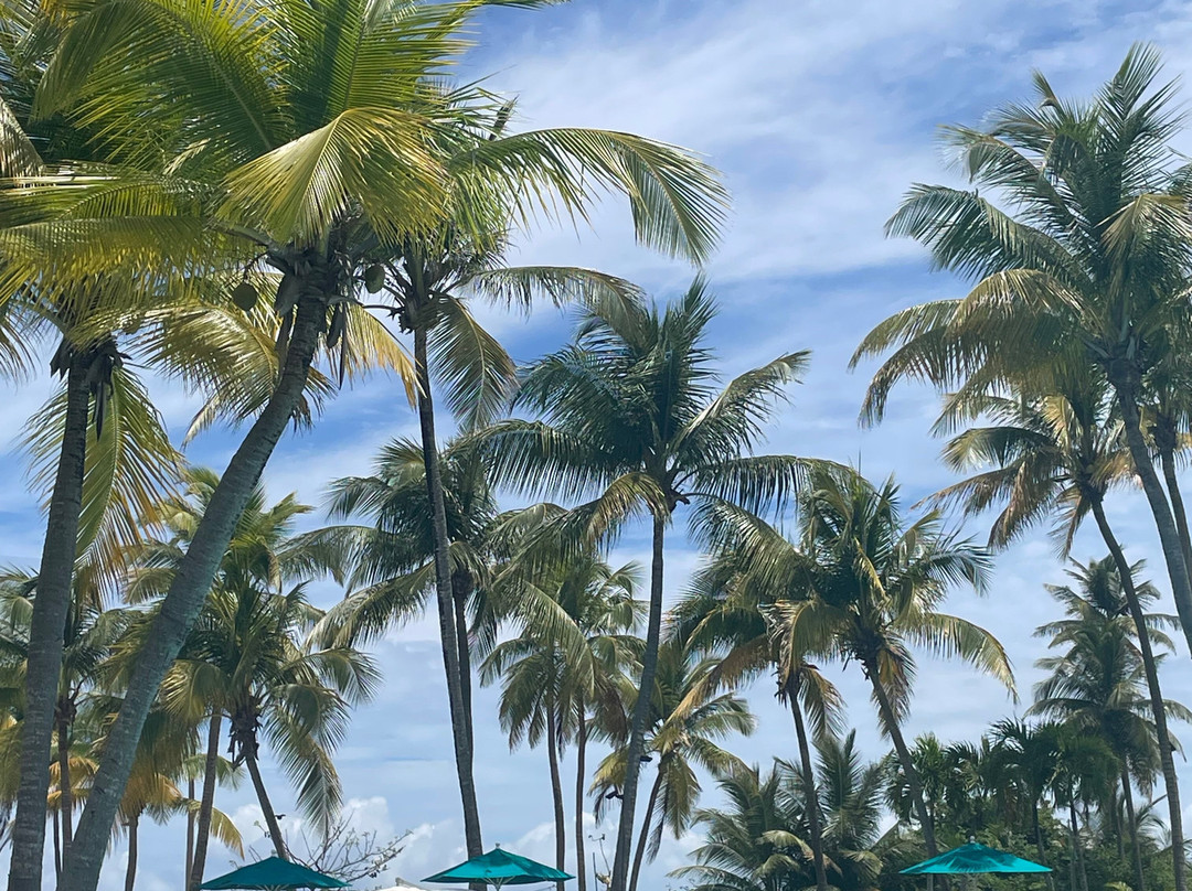 哈西恩德戴尔马尔凯悦酒店主图