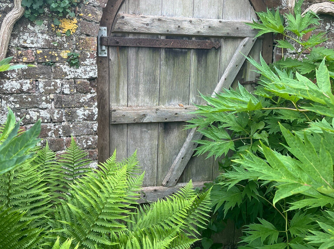 Goodnestone Park Gardens景点图片