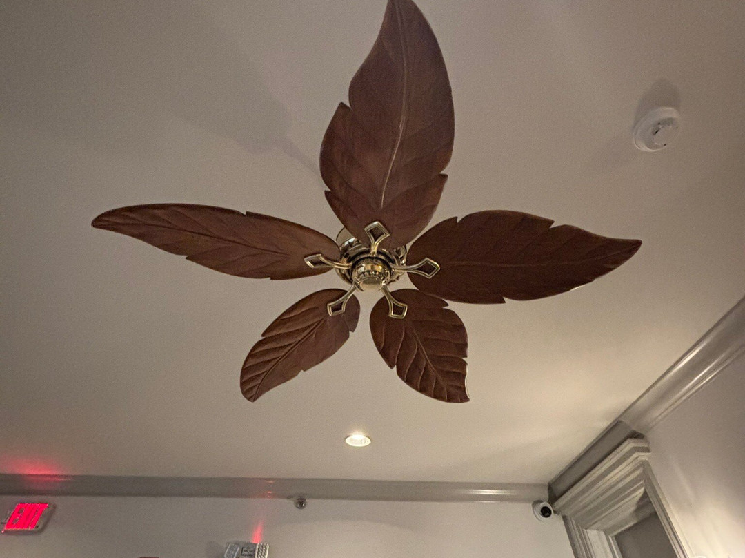 The Audubon Inn主图