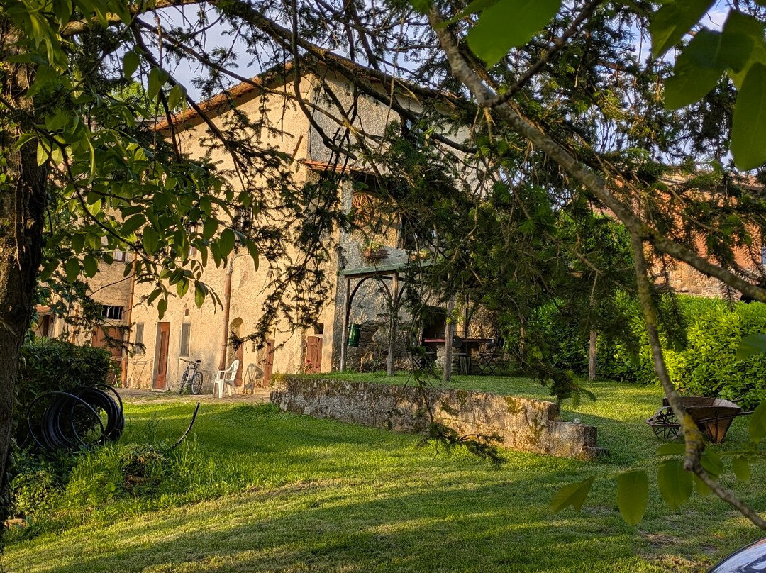 Agriturismo Il Poggio alle Ville主图