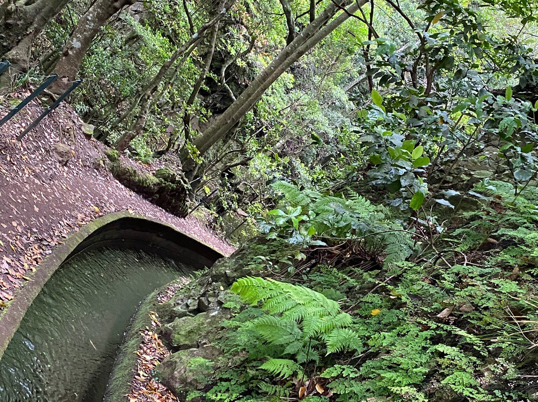 Levada Ribeira de Janela-莫尼什港必去景点