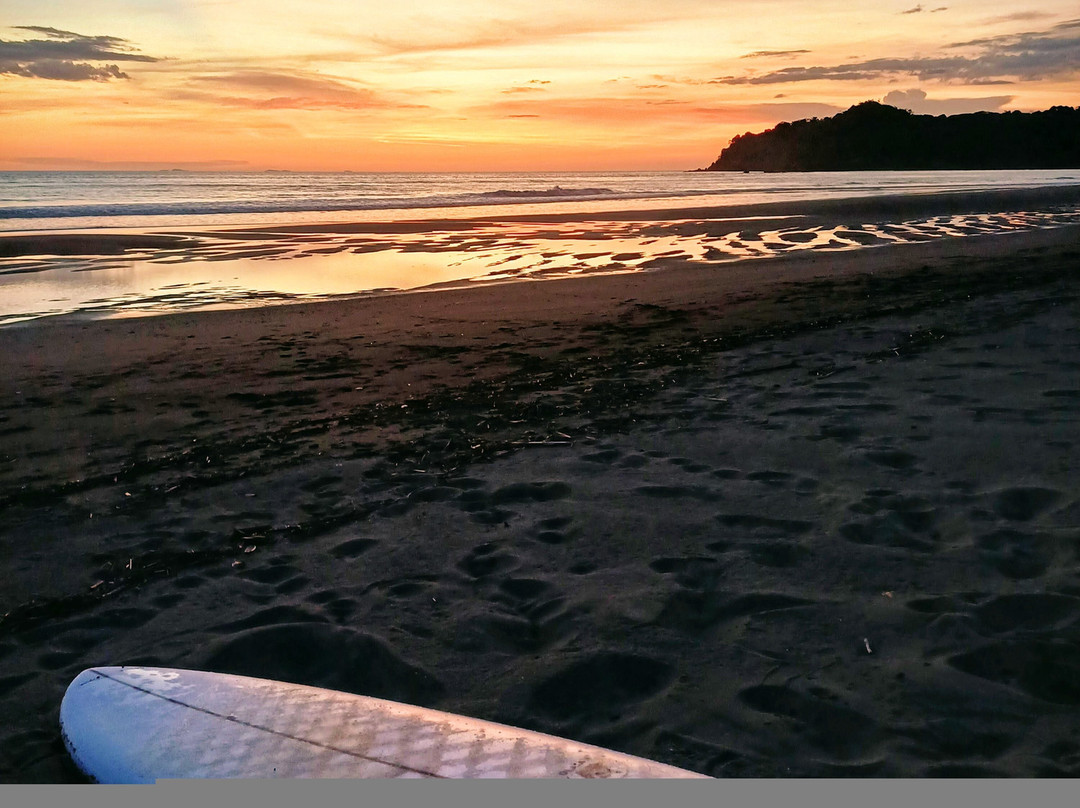 Surfer Paradise Private Island景点图片