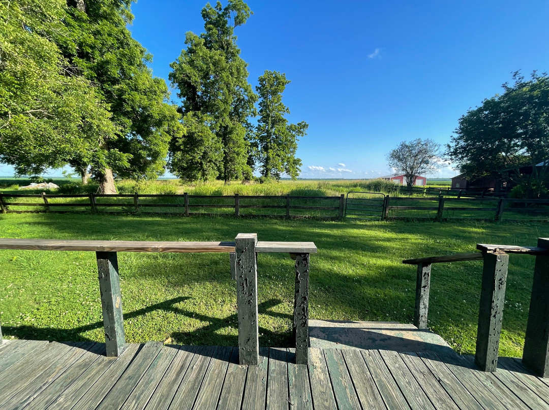 Loyd Hall Plantation主图