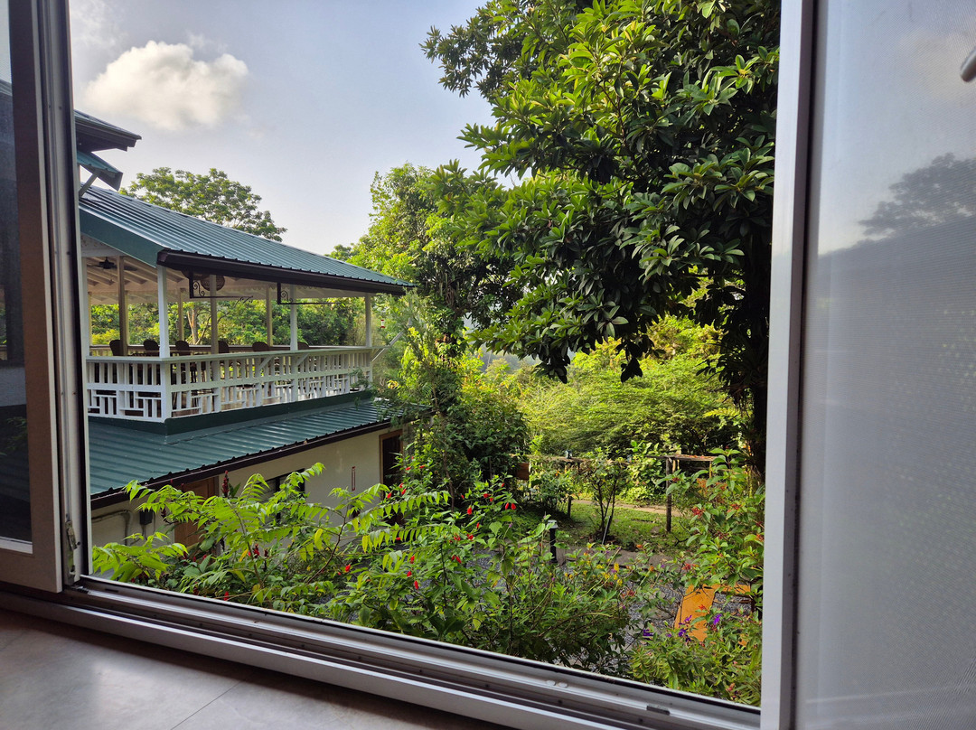 Hadco Experiences At Asa Wright Nature Centre-特立尼达必去景点