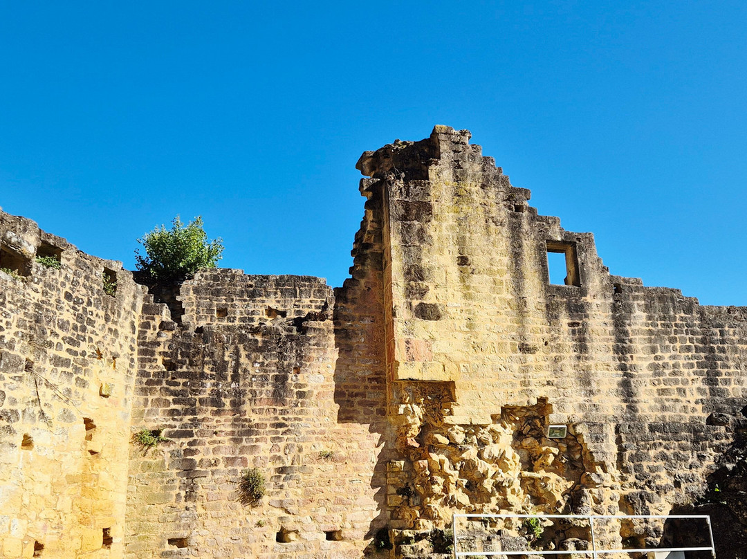 Chateau de Carlux景点图片