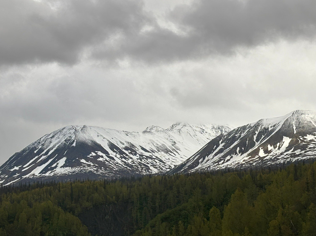 Denali Star Train景点图片