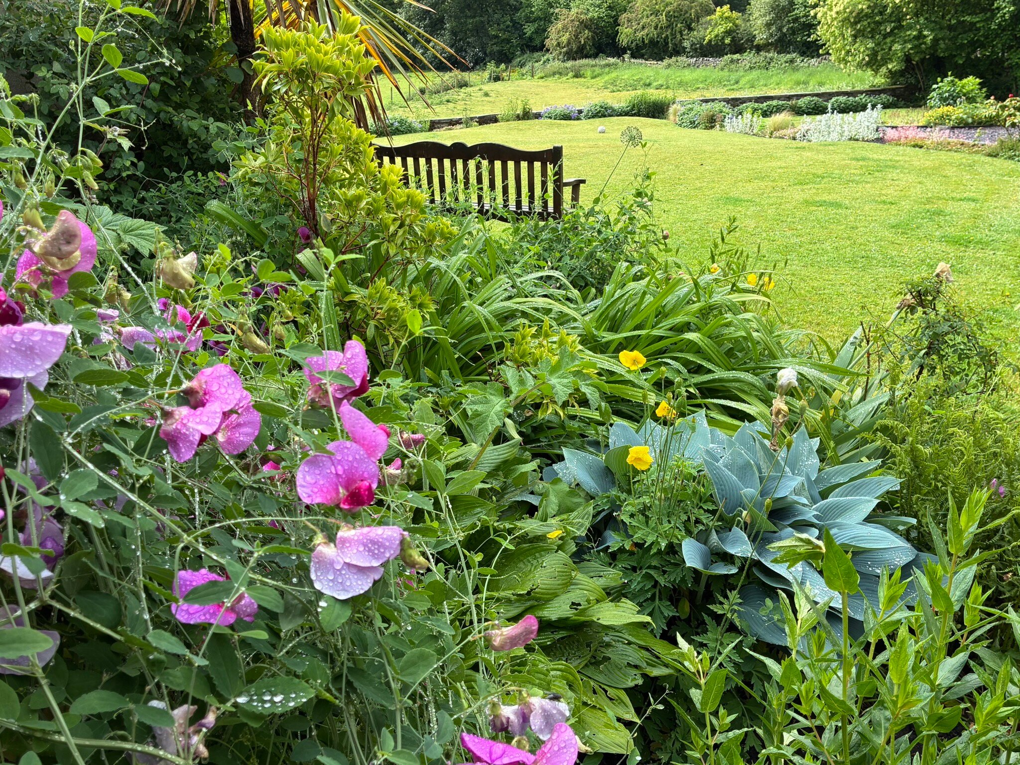 Ford House Farm-官方