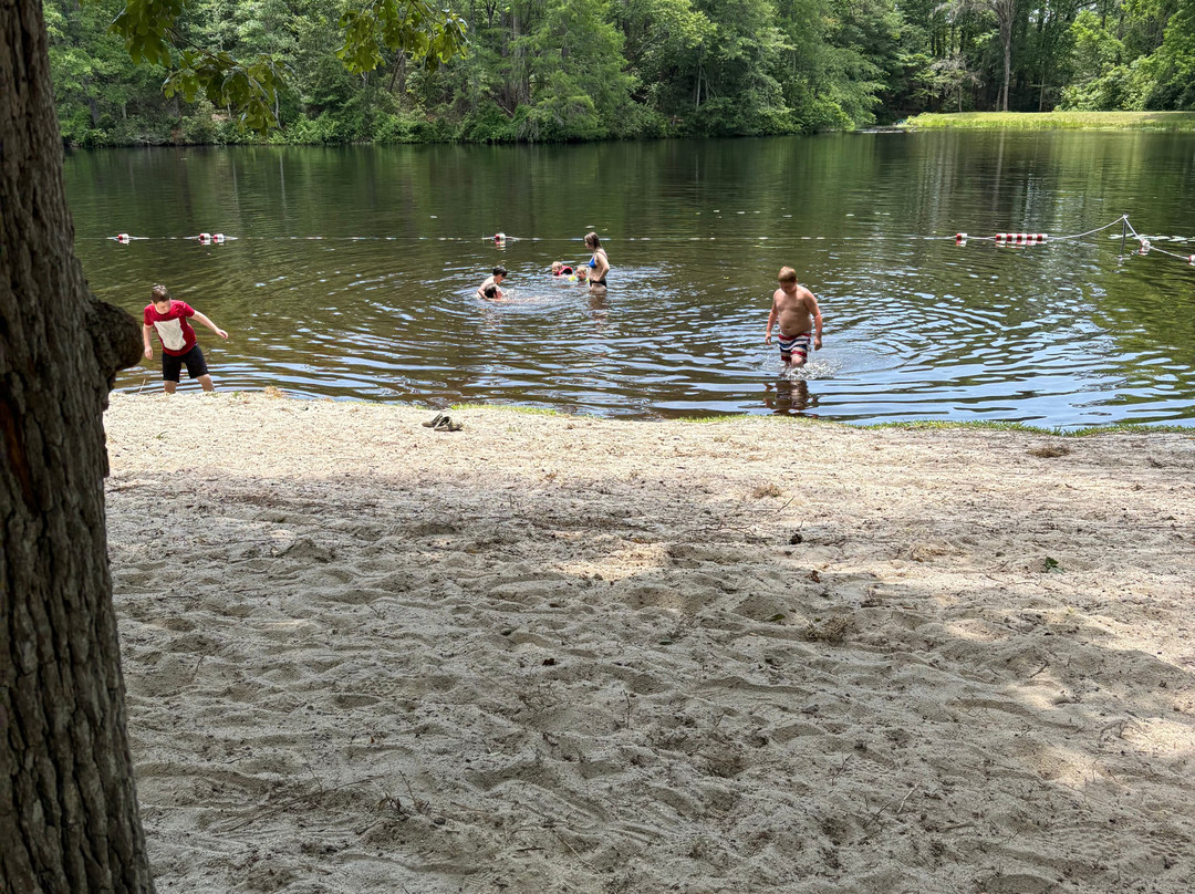 Poinsett State Park-Wedgefield必去景点