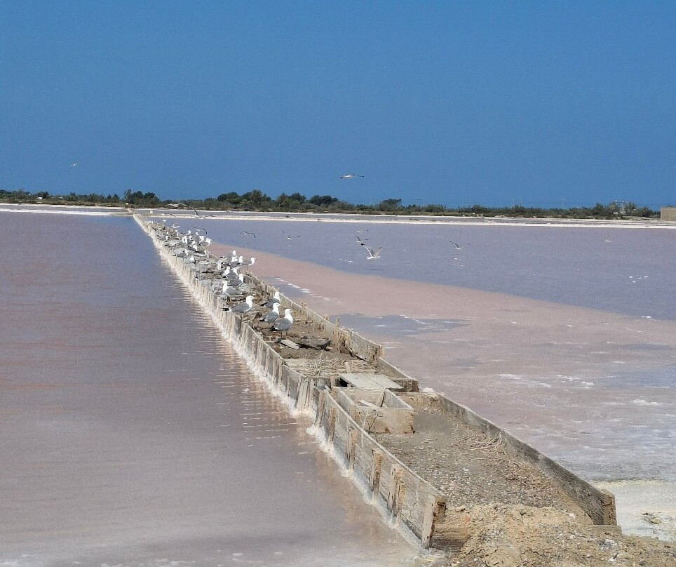 Les Salin-La Palme必去景点
