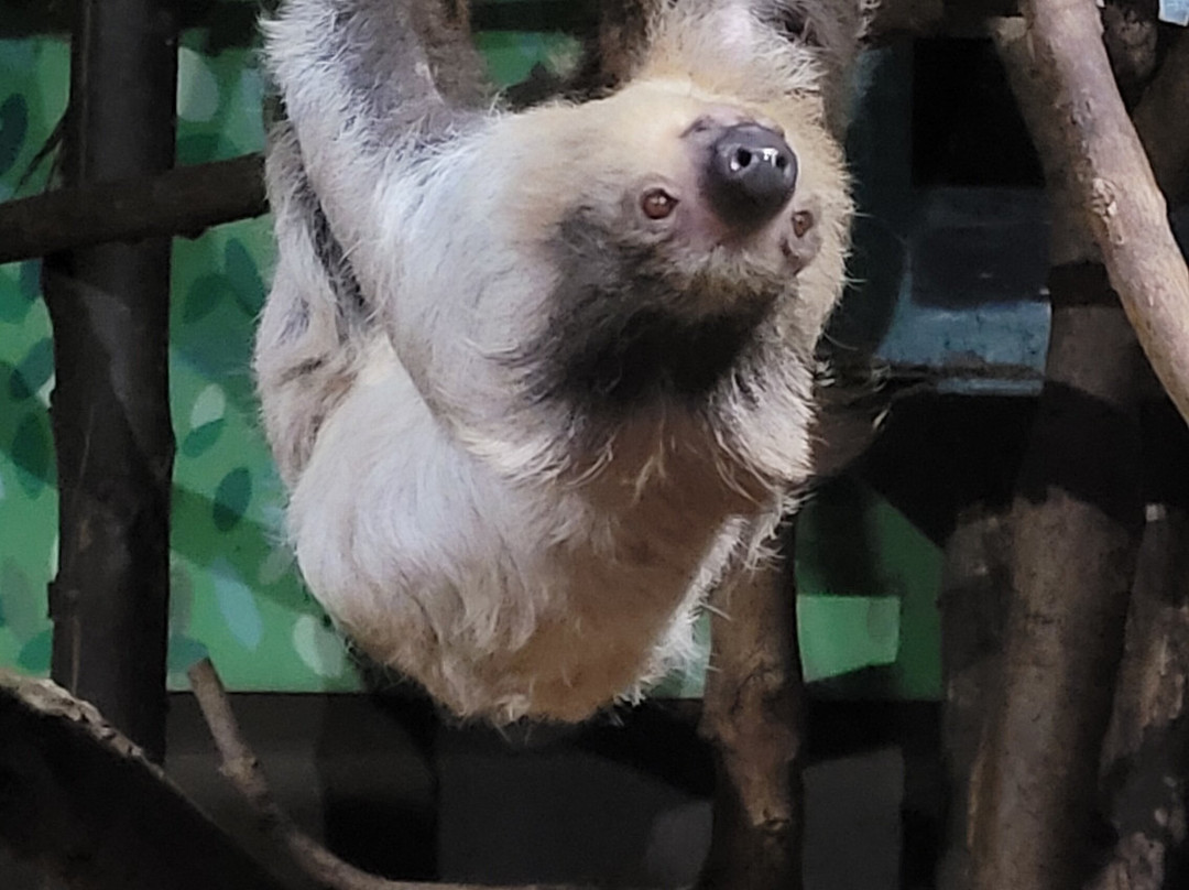 Amazon World Zoo Park-桑当必去景点