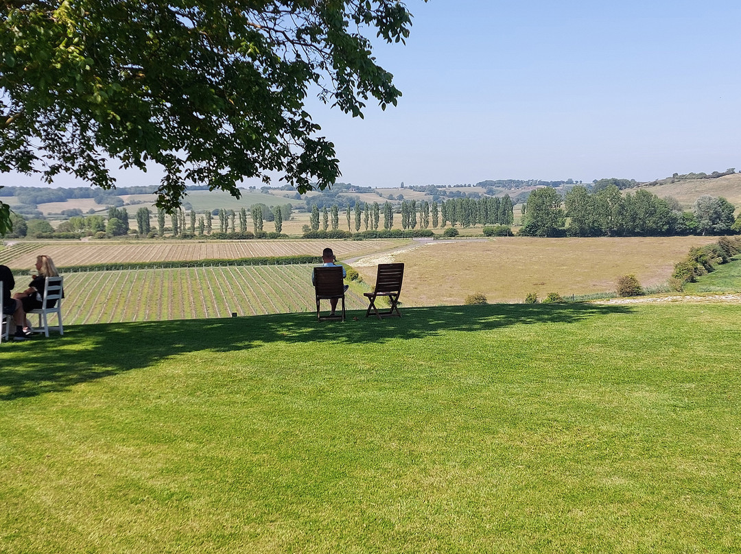 Charles Palmer Vineyards-Winchelsea必去景点