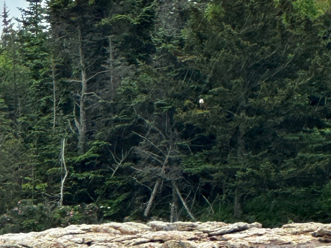 Hay-Val Charters-Southport必去景点