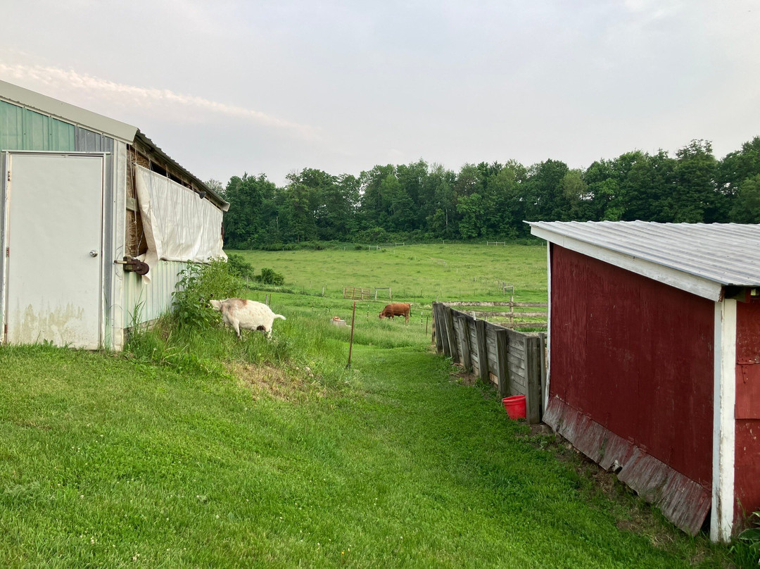 Valley Springs Farm Bed & Breakfast主图