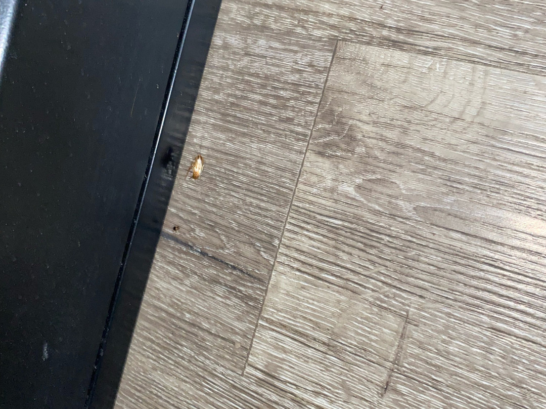 Quality Inn & Suites Statesboro主图