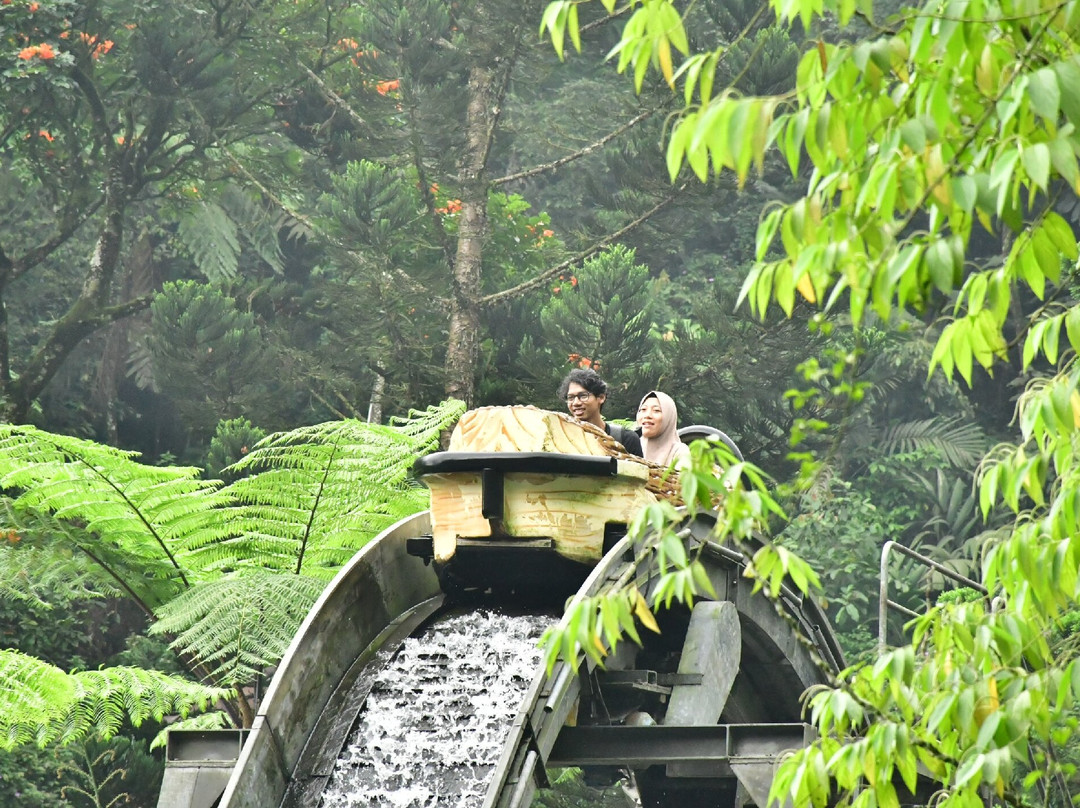 Taman Safari Indonesia Bogor-Cisarua必去景点