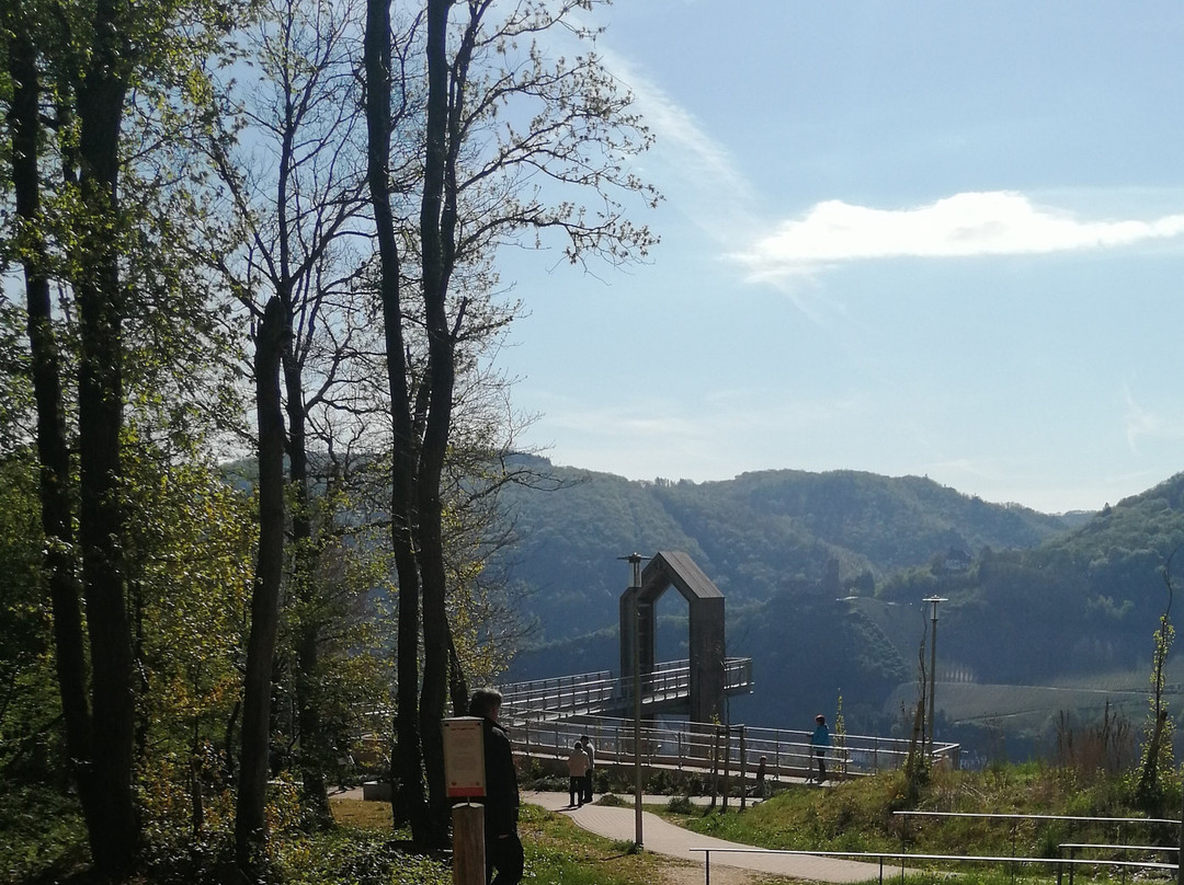 Skywalk Auf Dem Kueser Plateau