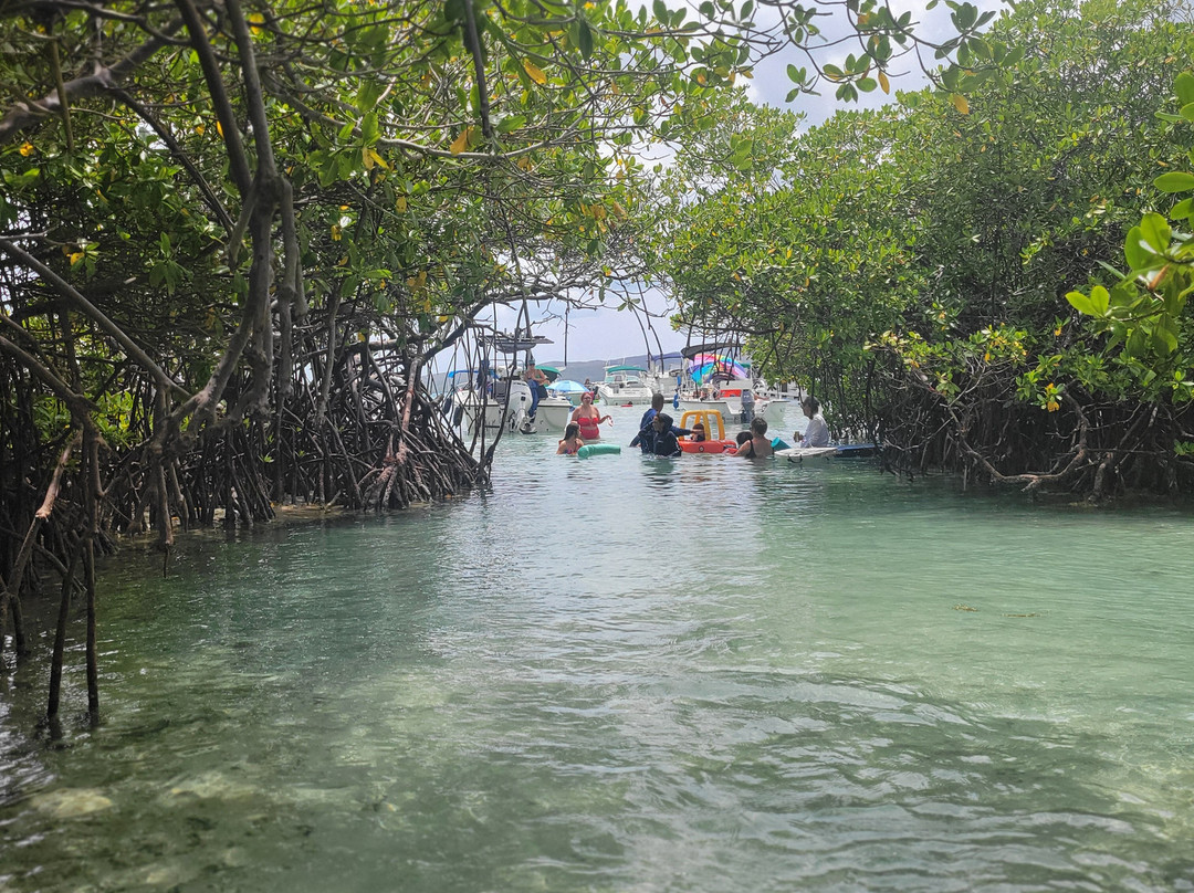 Cayo Caracoles-Lajas必去景点