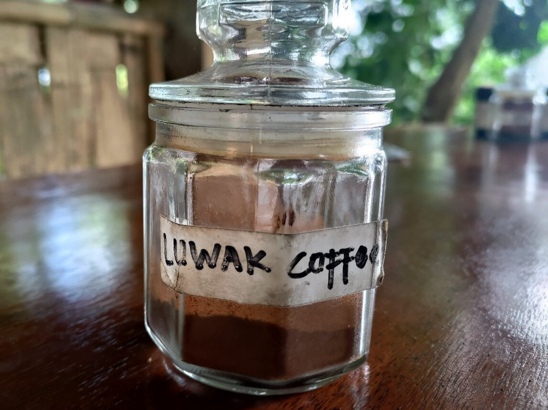 Ubud Sari Coffee Luwak Agrotourism-吉安雅必去景点