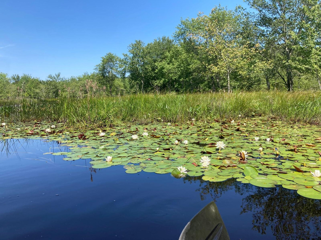 Pinelands Adventures-Shamong必去景点