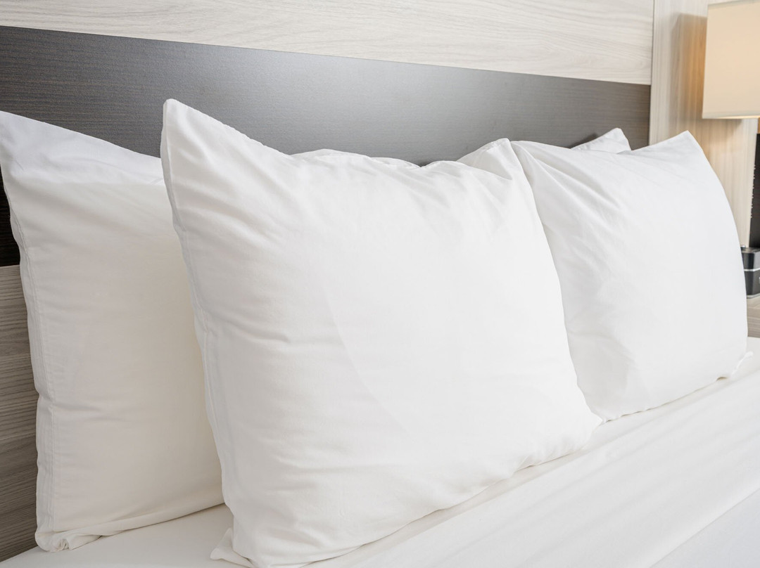 Park Vue Inn主图