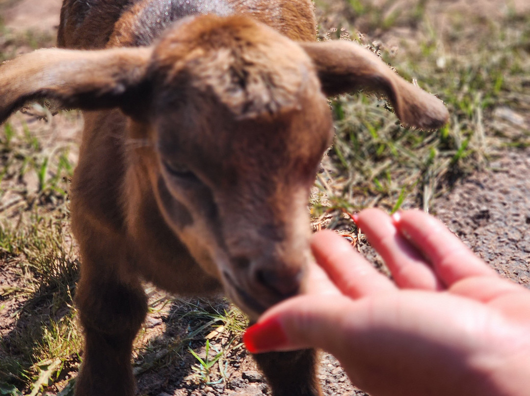 Orr Family Farm-俄克拉何马城必去景点