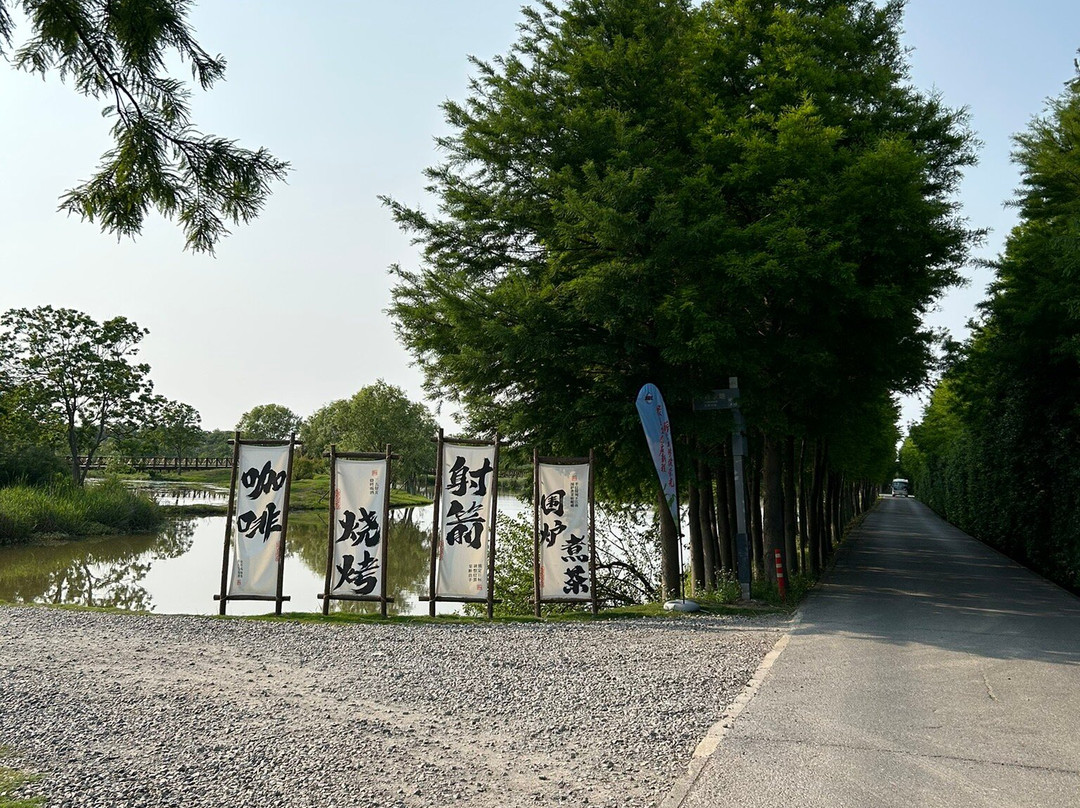 东滩湿地公园-崇明县必去景点