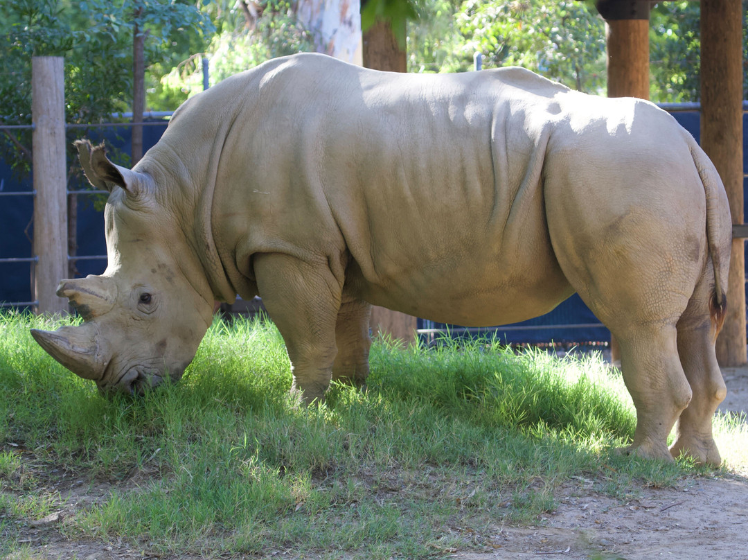 Sacramento Zoo-沙加缅度必去景点