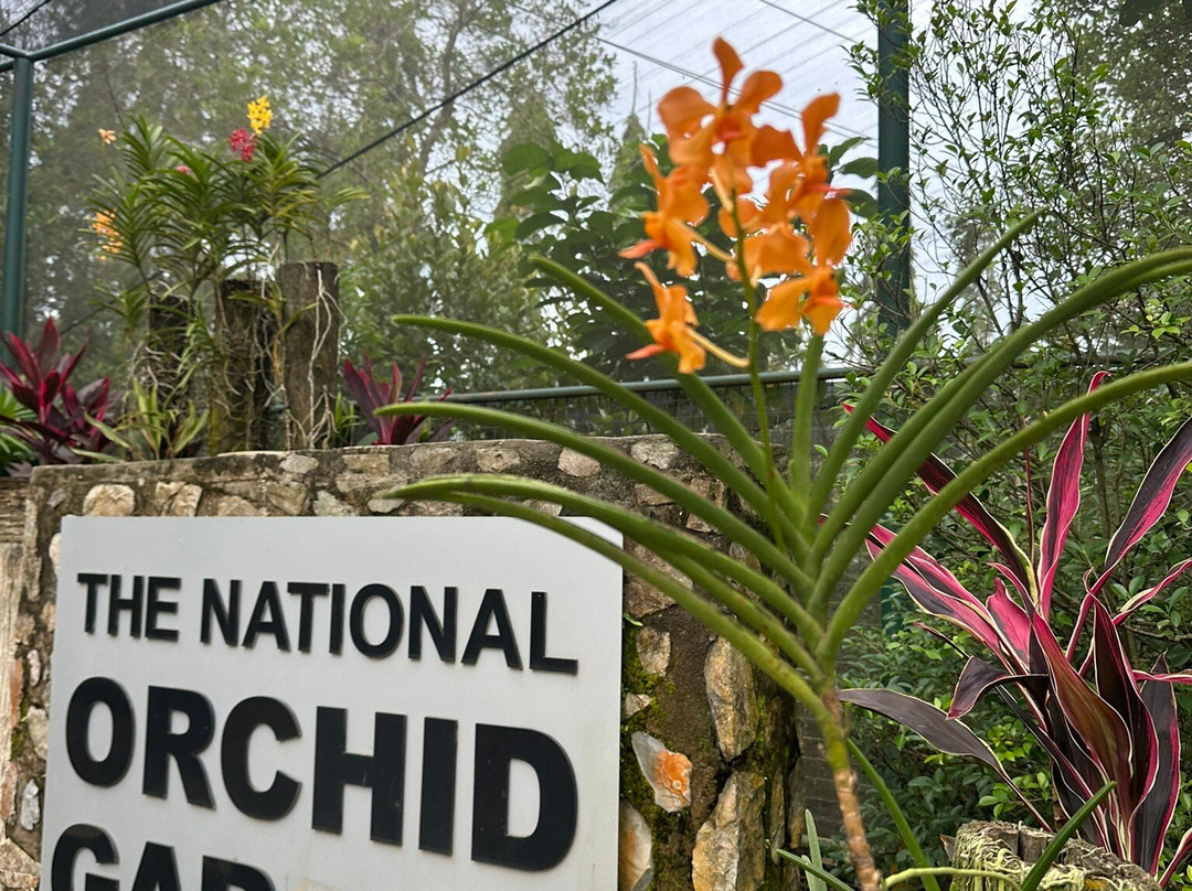 Port Moresby Nature Park-莫尔兹比港必去景点