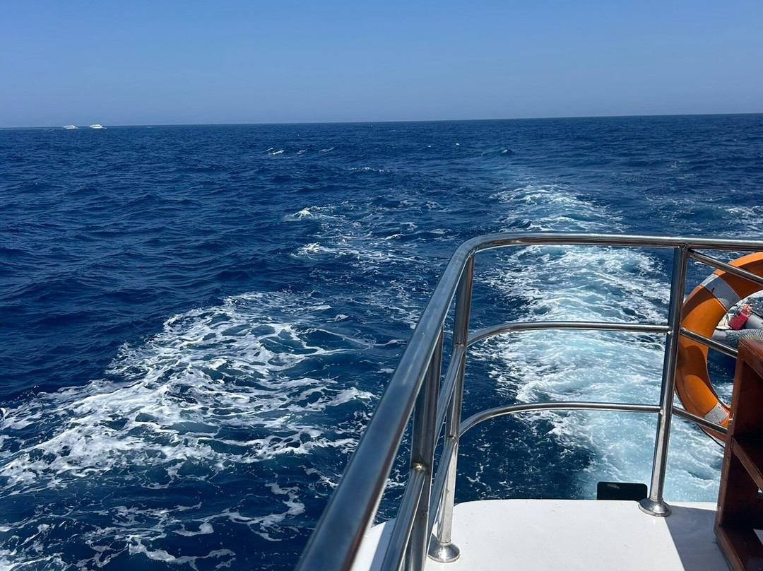 Marsa Alam City Taxi-马萨阿拉姆必去景点