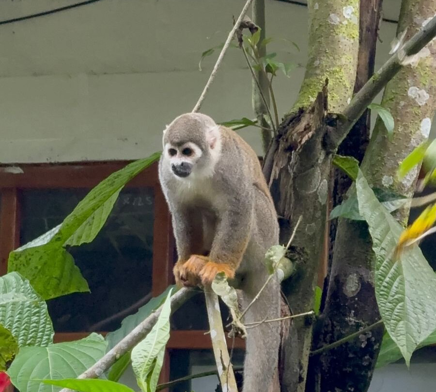 Zanja Arajuno-Puyo必去景点