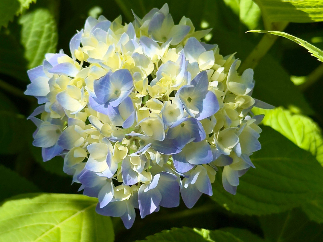 Chatham Inn Relais & Châteaux主图