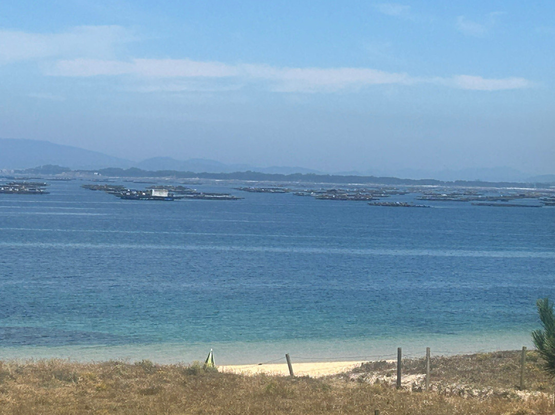 Playa Area Grande-El Grove必去景点