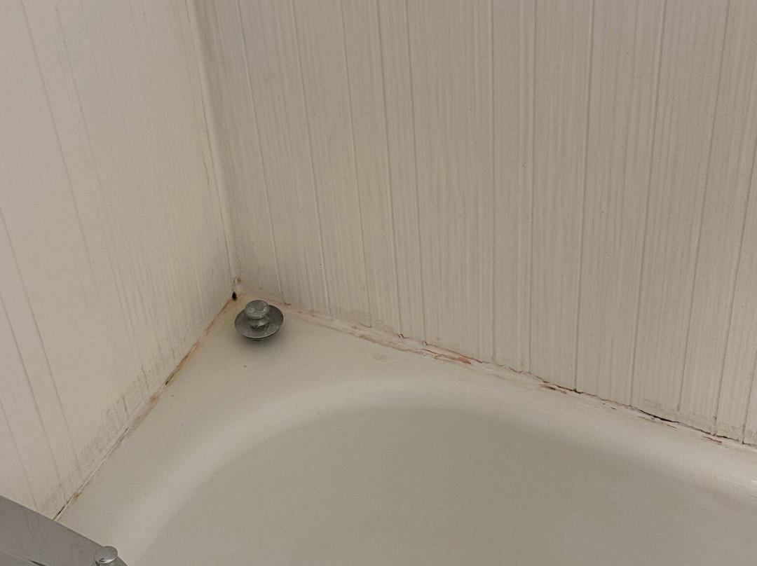 Wingate by Wyndham Uniontown主图