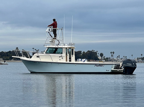 Catch Sportfishing-拉荷亚必去景点