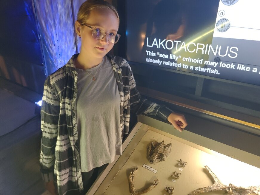 Dinosaurs Of The Hell Creek Museum-Belle Fourche必去景点