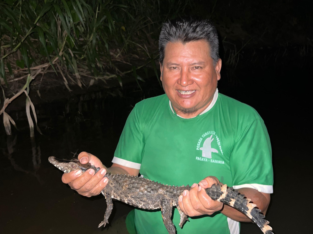 Yanayacu Pacaya Samiria Expeditions-伊基托斯必去景点