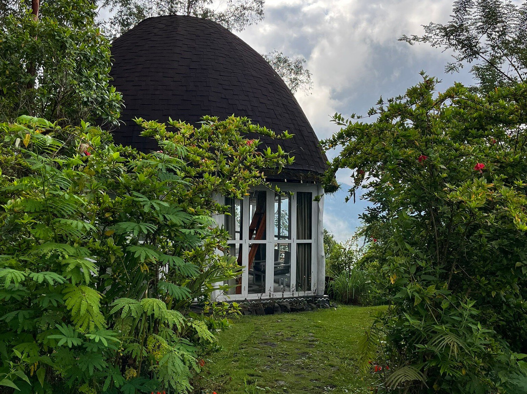 Top Komodo Tours-Labuan Bajo必去景点