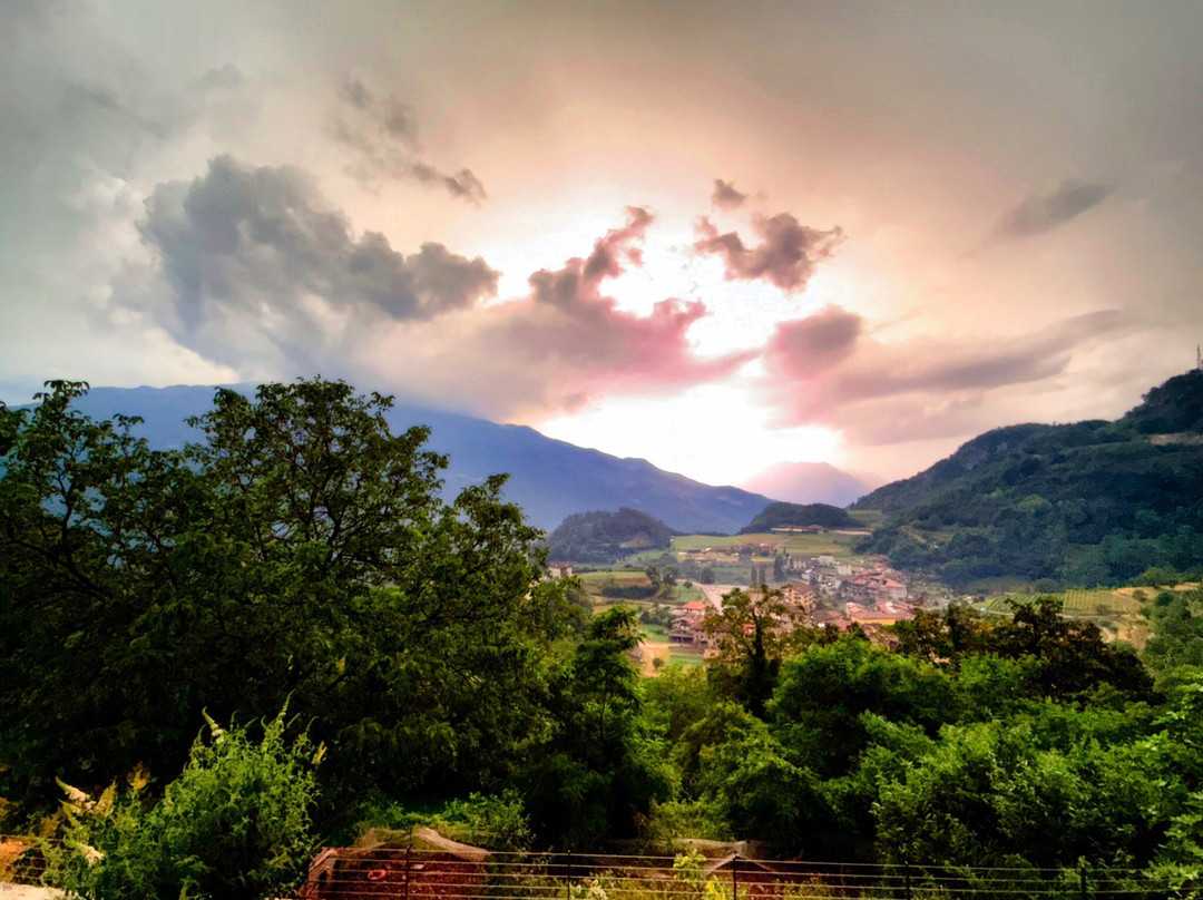 Arpa Di Pietra